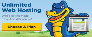 Hostgator Hosting Services